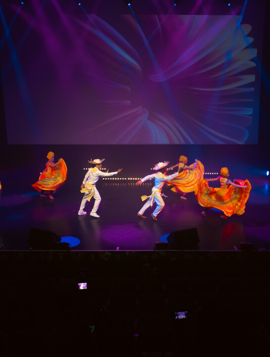 15° Festival des Cultures et des Langues 2026 - 73.jpg